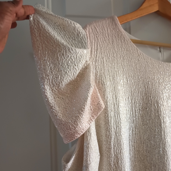 Lane Bryant Sparkle Dress. Size 24 - Picture 5 of 13